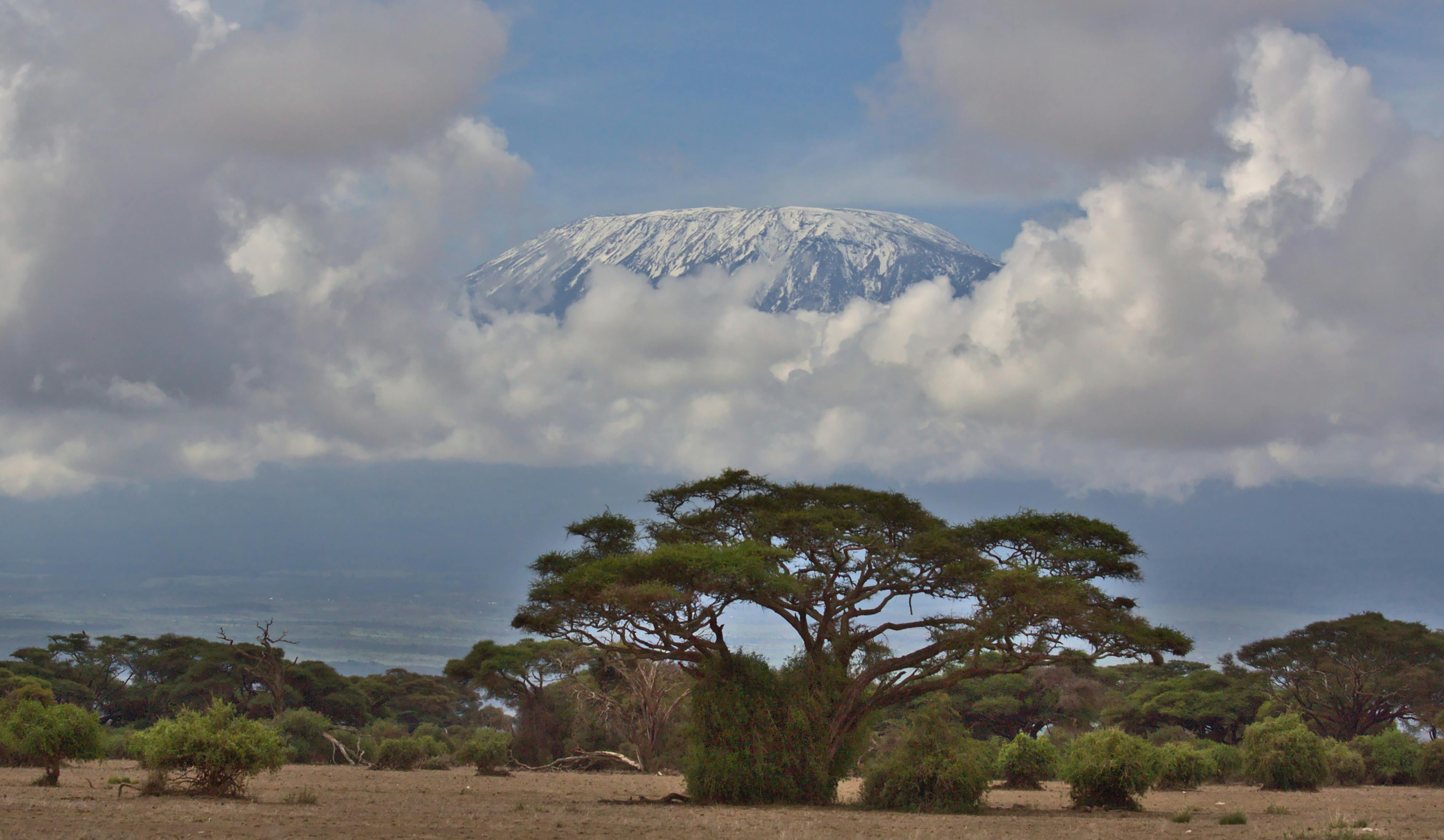Mount Kilimanjaro Adventure